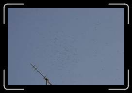 08-23-10 280 * 1728 x 1152 * (190KB)